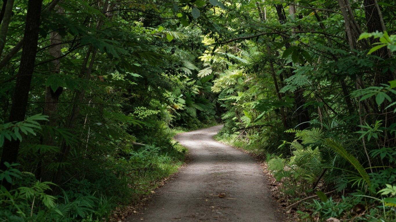 Ein ruhiger Waldweg führt sanft bergauf.