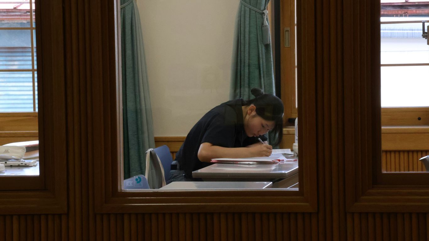 A person studying at a desk with books.