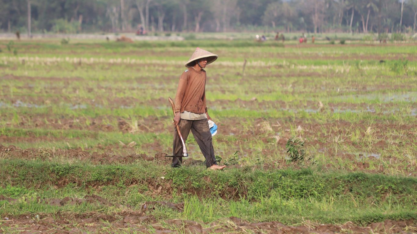 man in brown jacket and black pants walking on green grass field during daytime