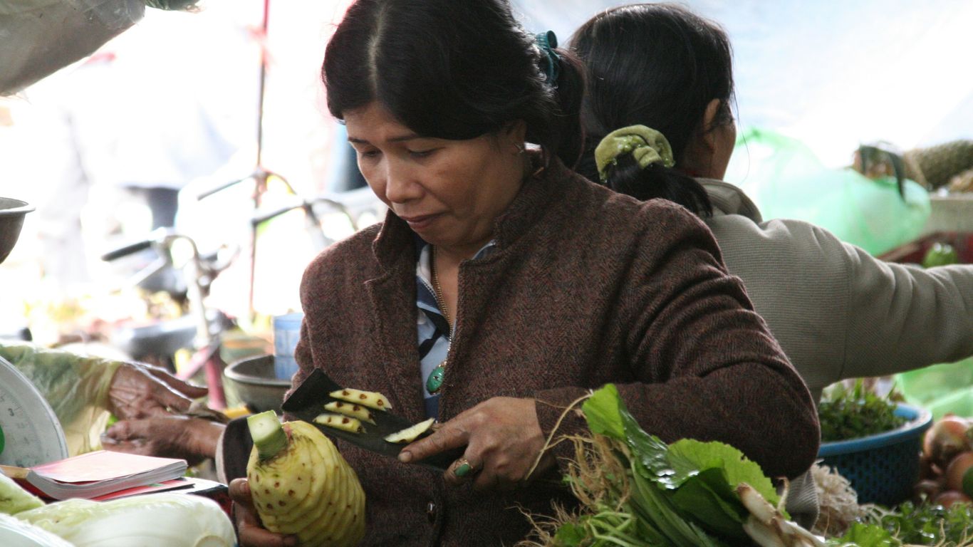 woman holding vegetable