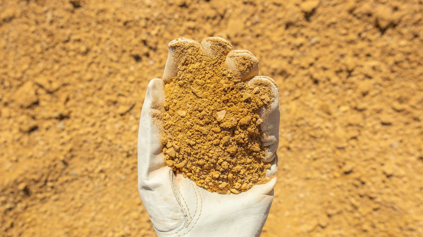 person in white long sleeve shirt holding brown sand
