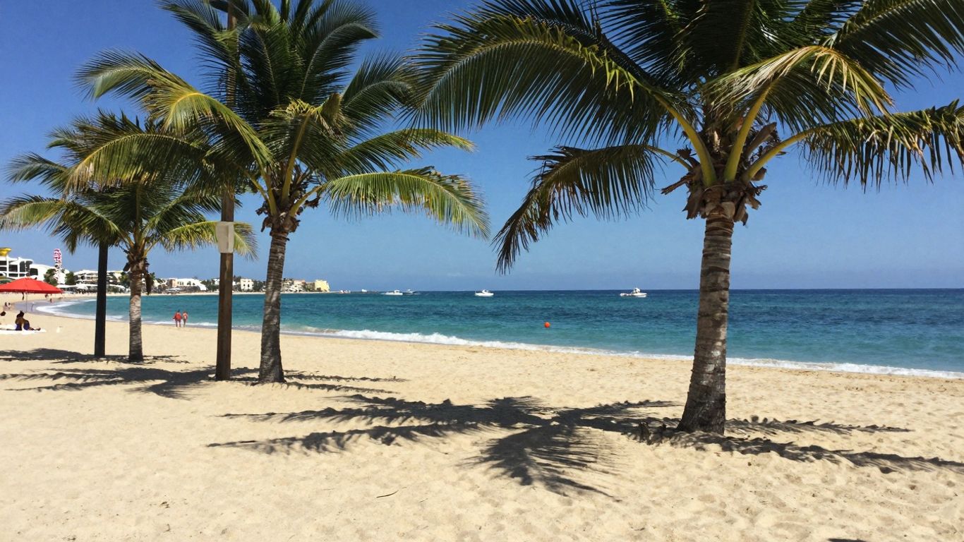 Cabo beach with palm trees and blue ocean.
