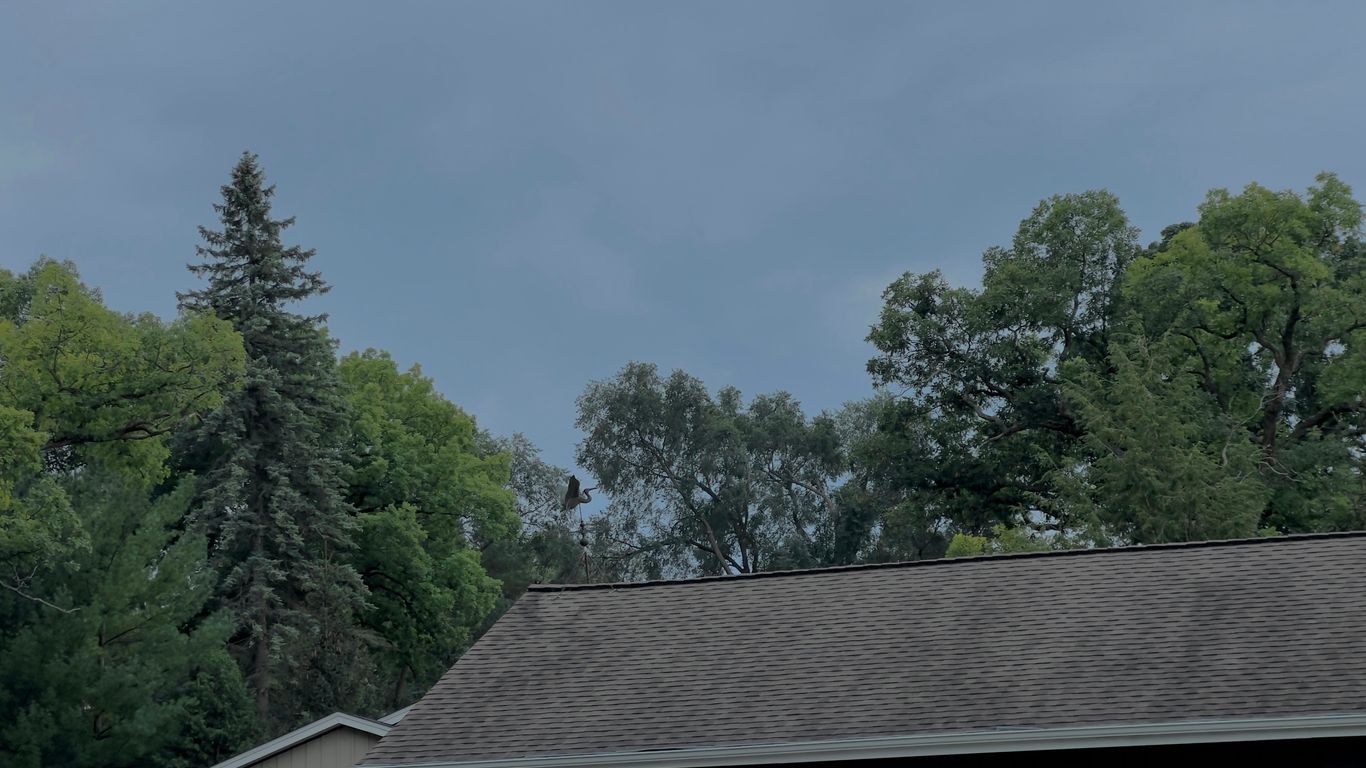 a roof with trees in the background