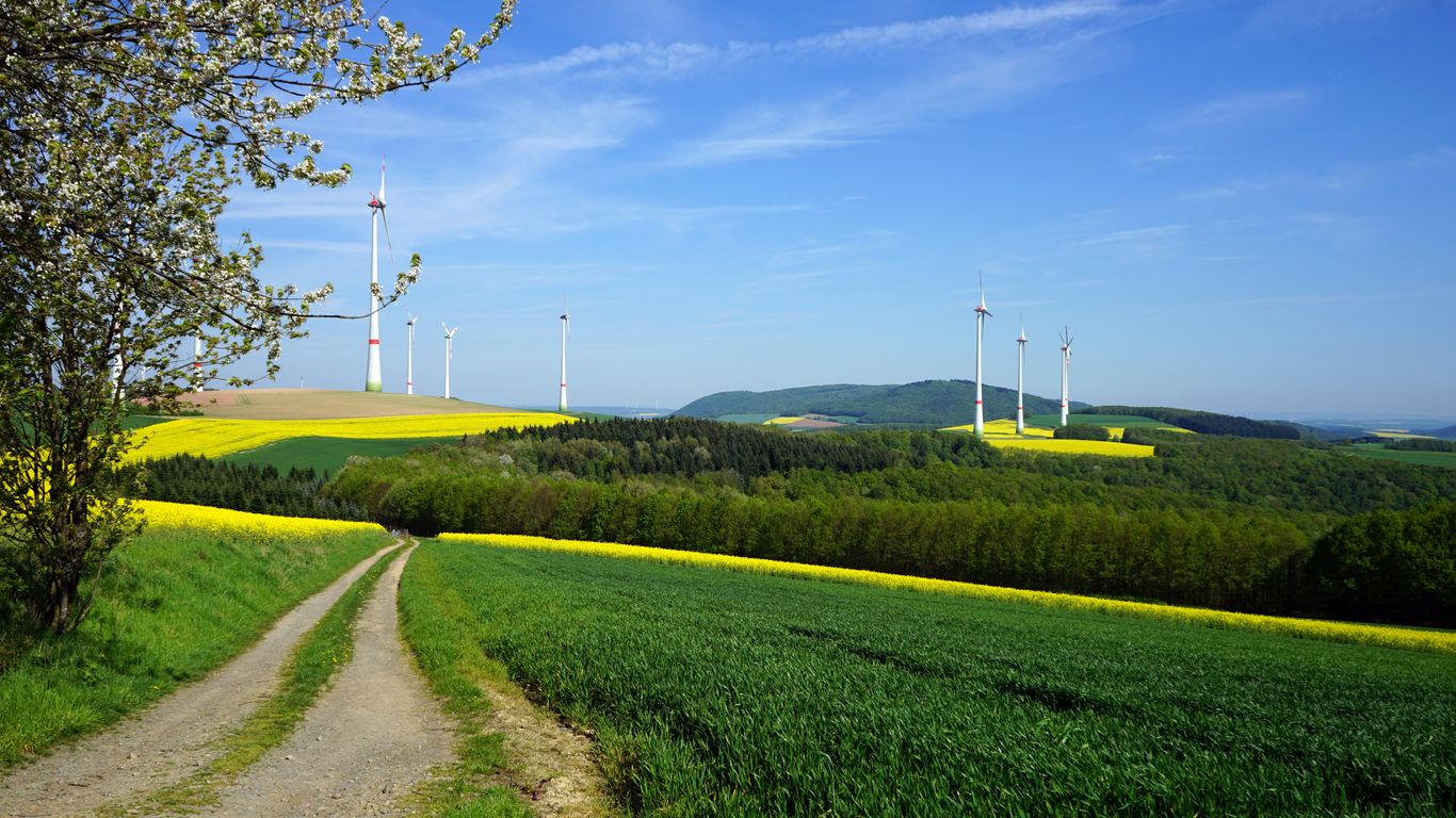 green grass field near wind turbines under blue sky during daytime