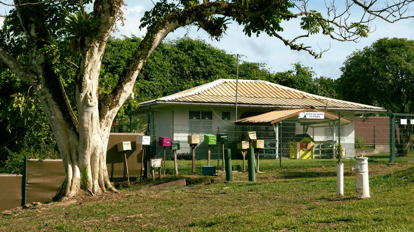 A house is under a shady tree outdoors.