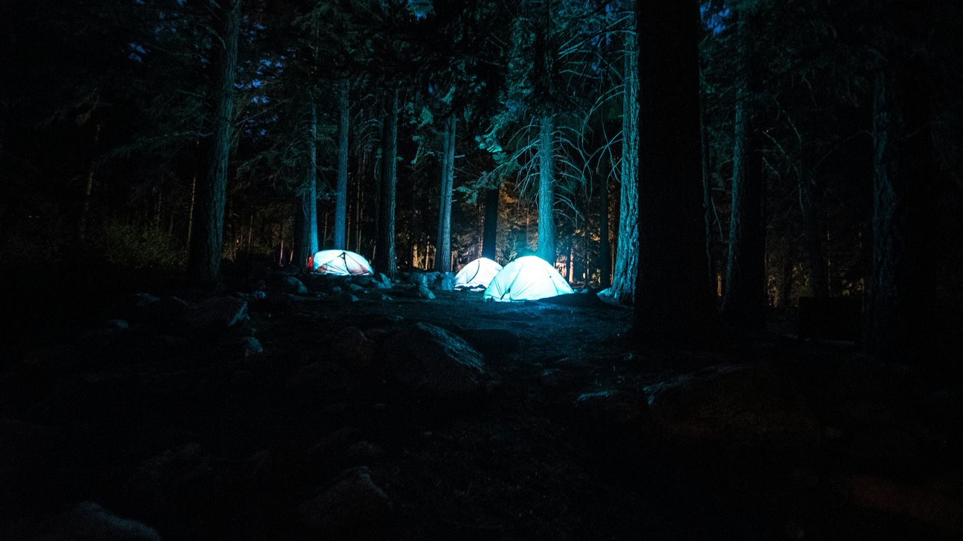 three dome tents with light between forest