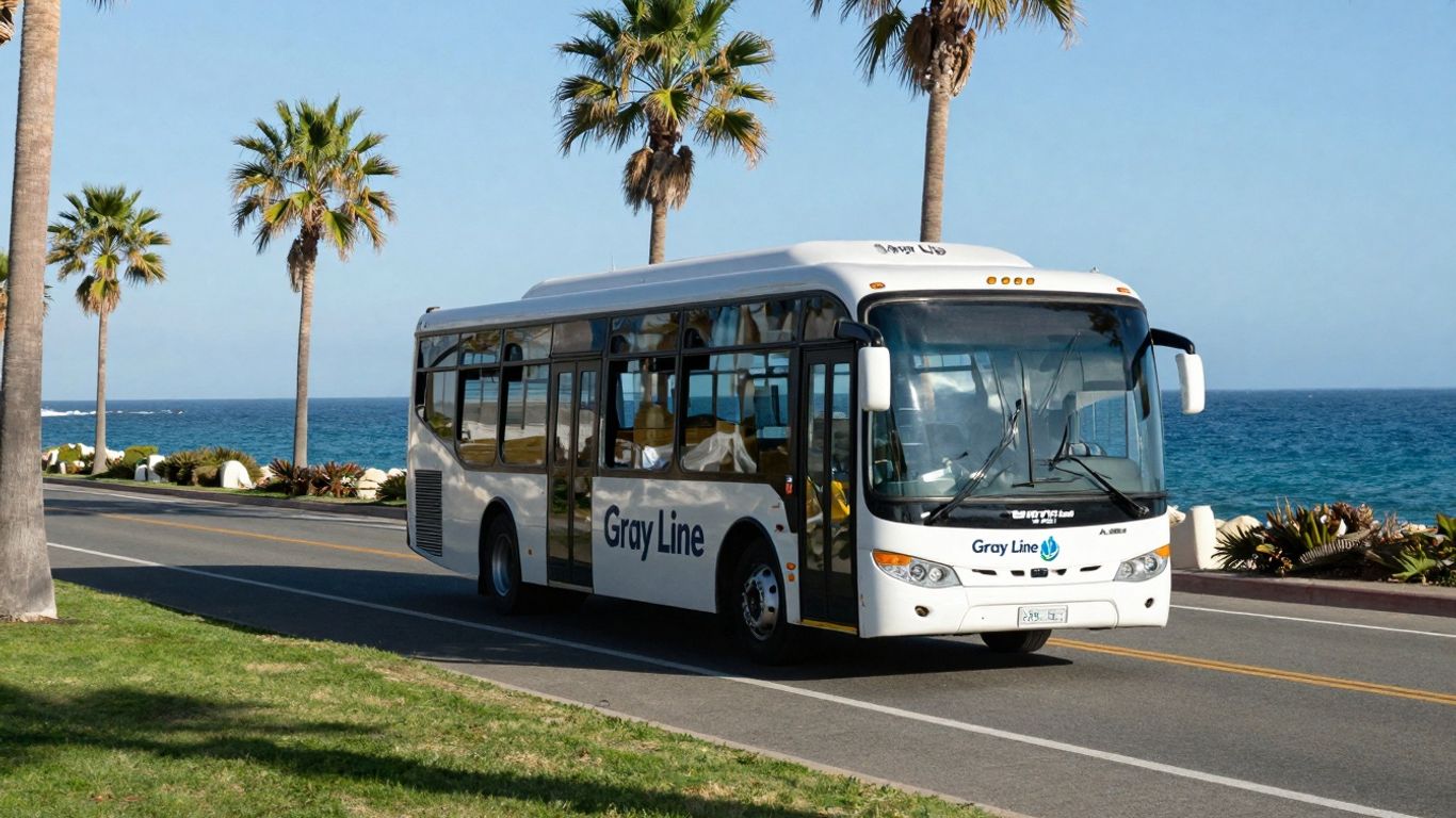 Gray Line Los Cabos shuttle bus on a sunny coastal highway.