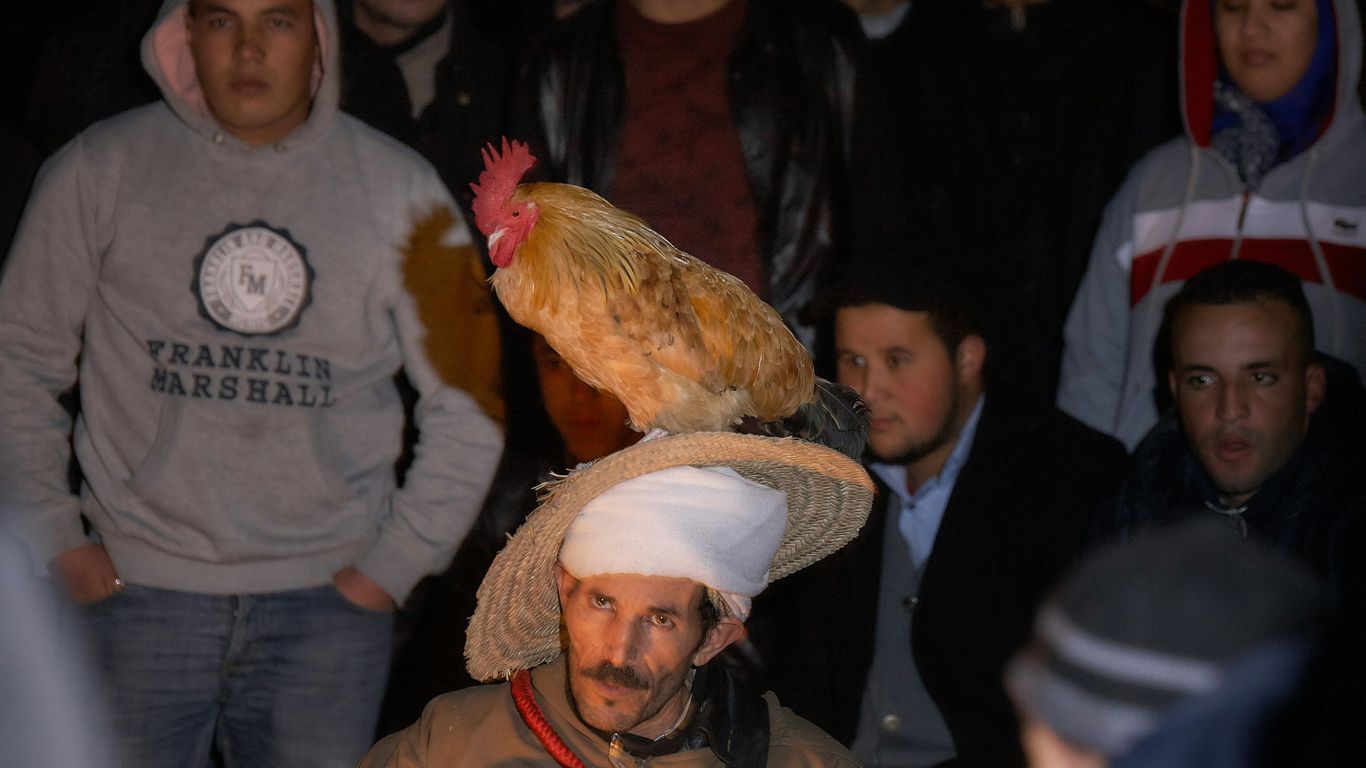 man in black leather jacket wearing white hat