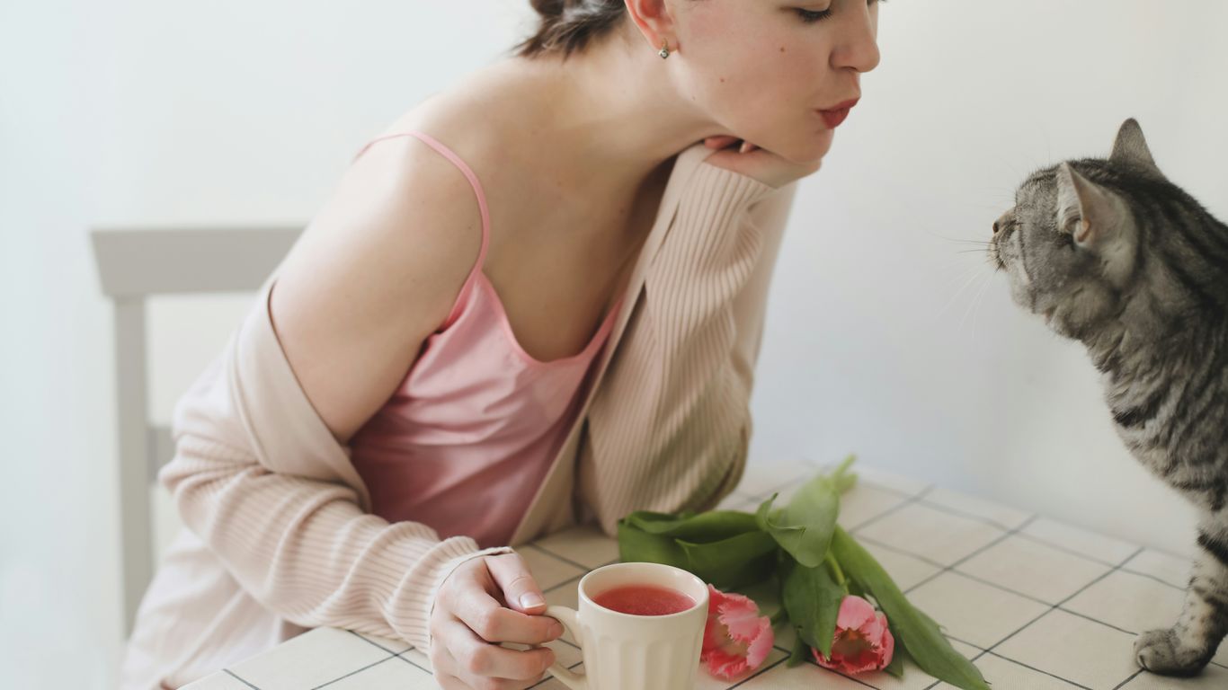 a person sitting on a chair with a cat and a cup of tea