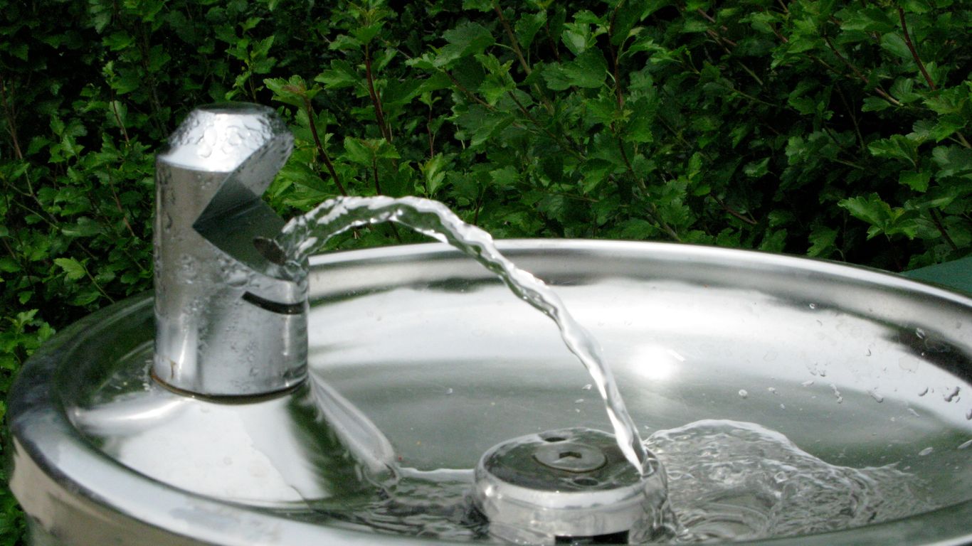 a water fountain with a green bush in the background
