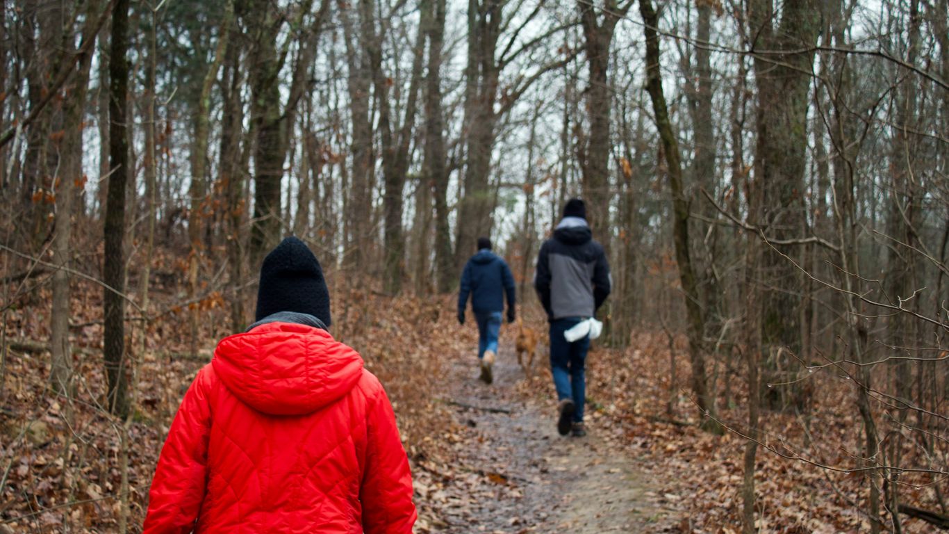 people walking on forest during daytime