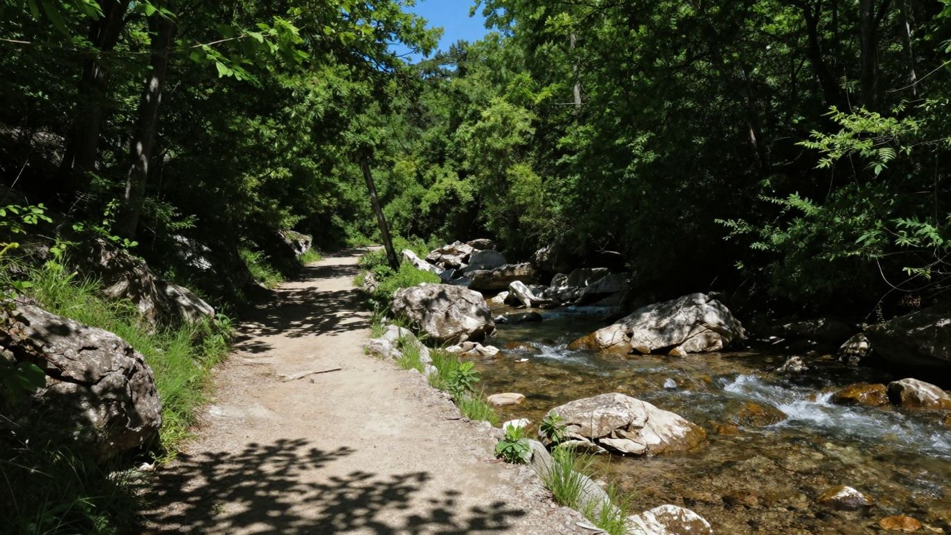 Biking trail through Barton Creek Greenbelt with trees and creek.
