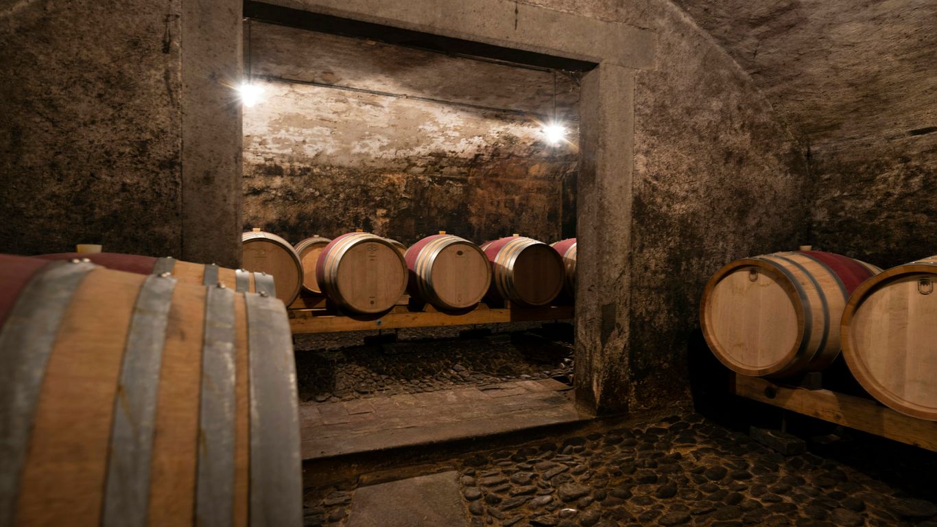 a room with barrels