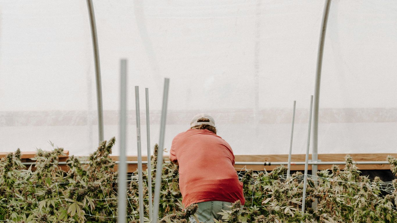 man in red shirt and green pants sitting on green grass during daytime