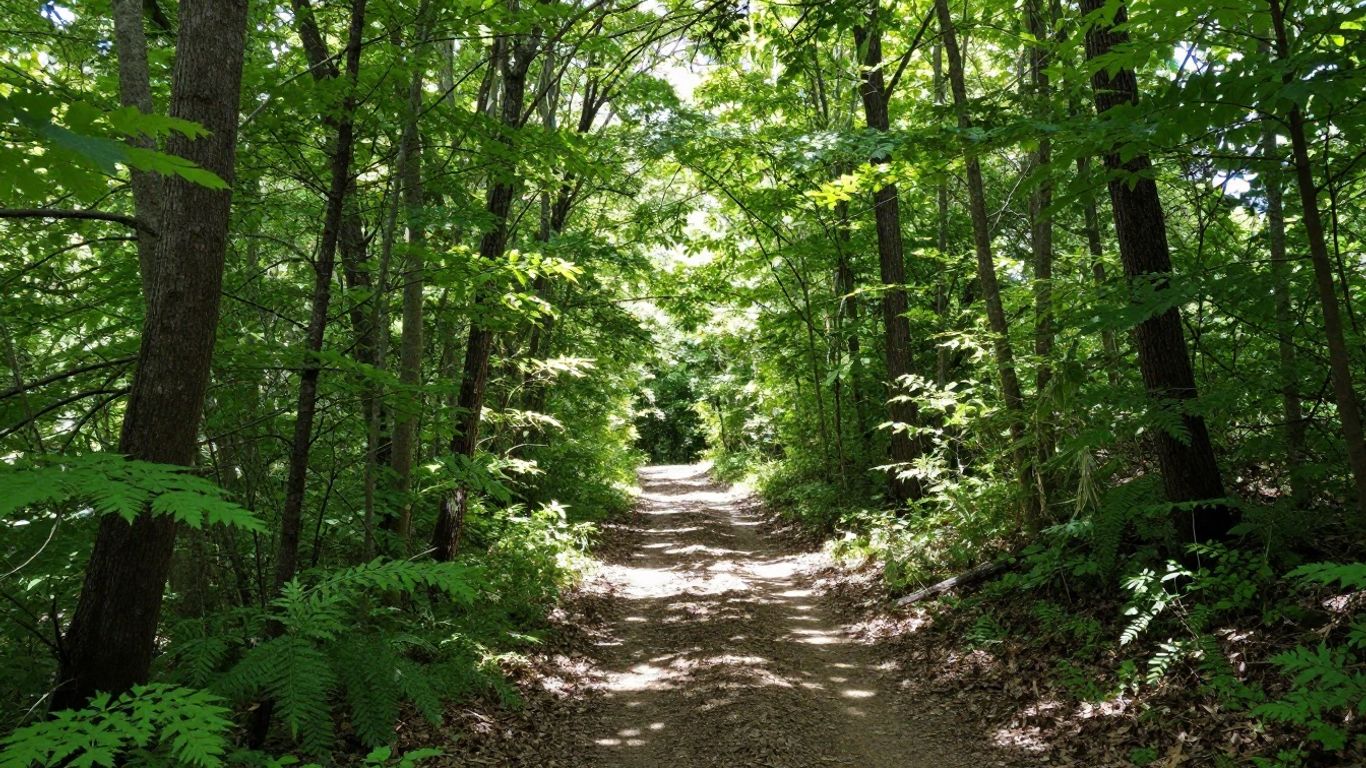 Woodway Path Review: Smarter Training Tips For Runners