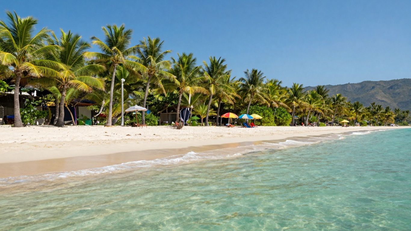 Tropical beach with palm trees and clear water.
