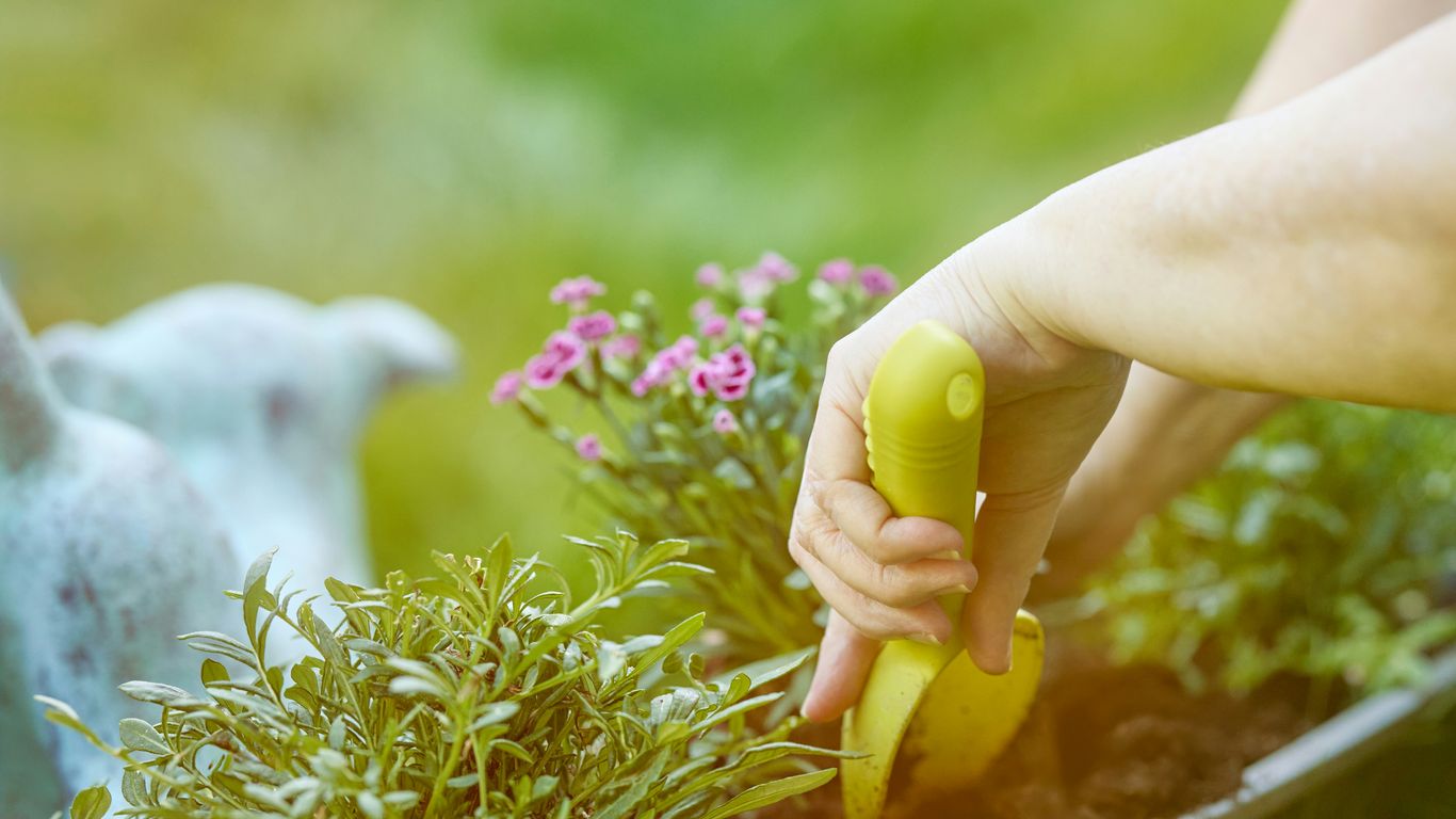 Hands planting flowers in a garden bed.