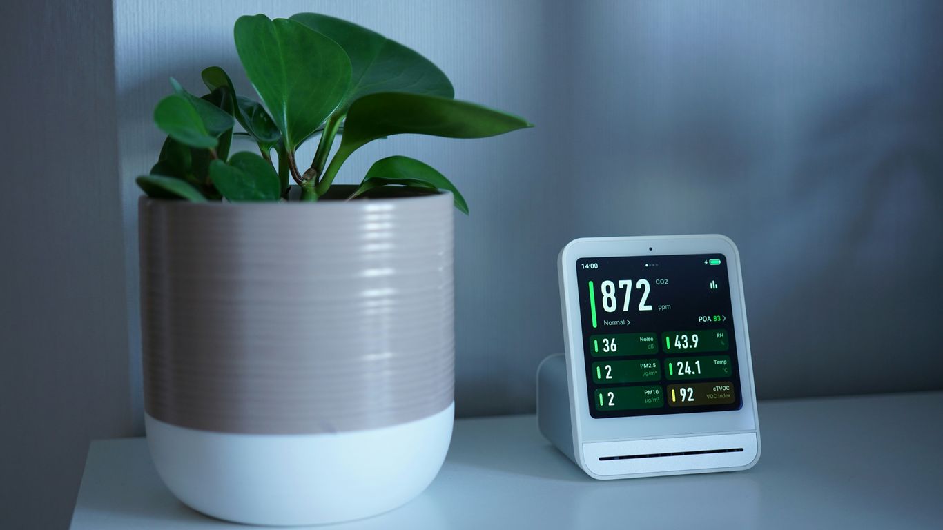 Plant next to a device displaying readings.