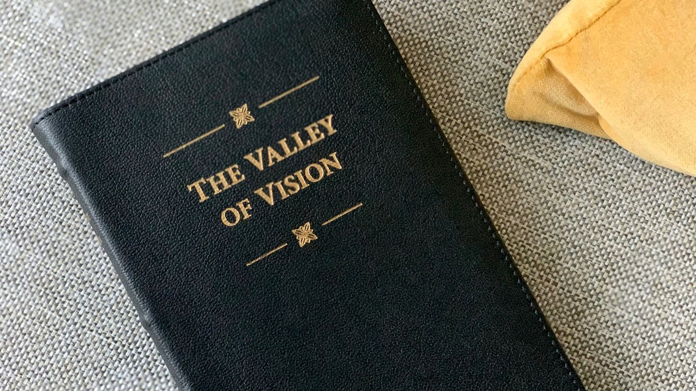 black leather case on gray textile