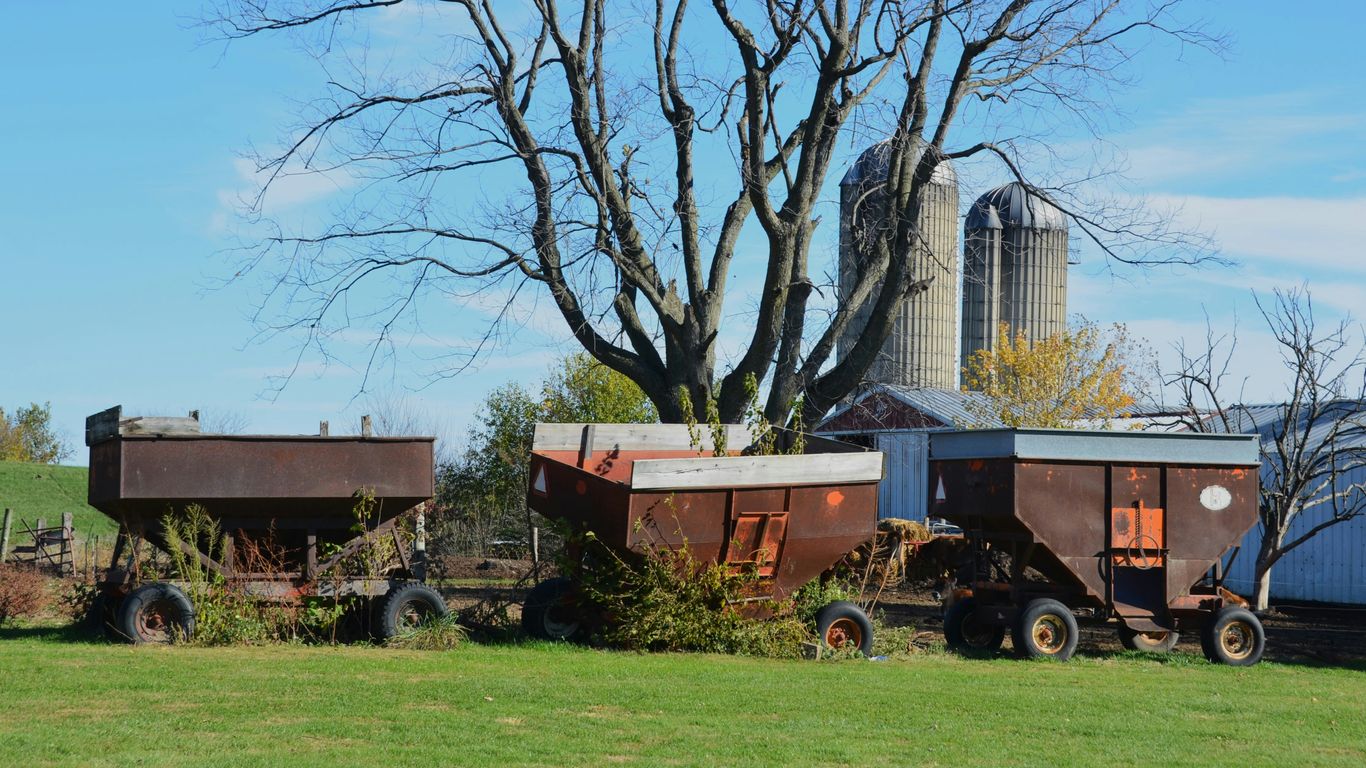 Three rusty farm wagons in a grassy field.