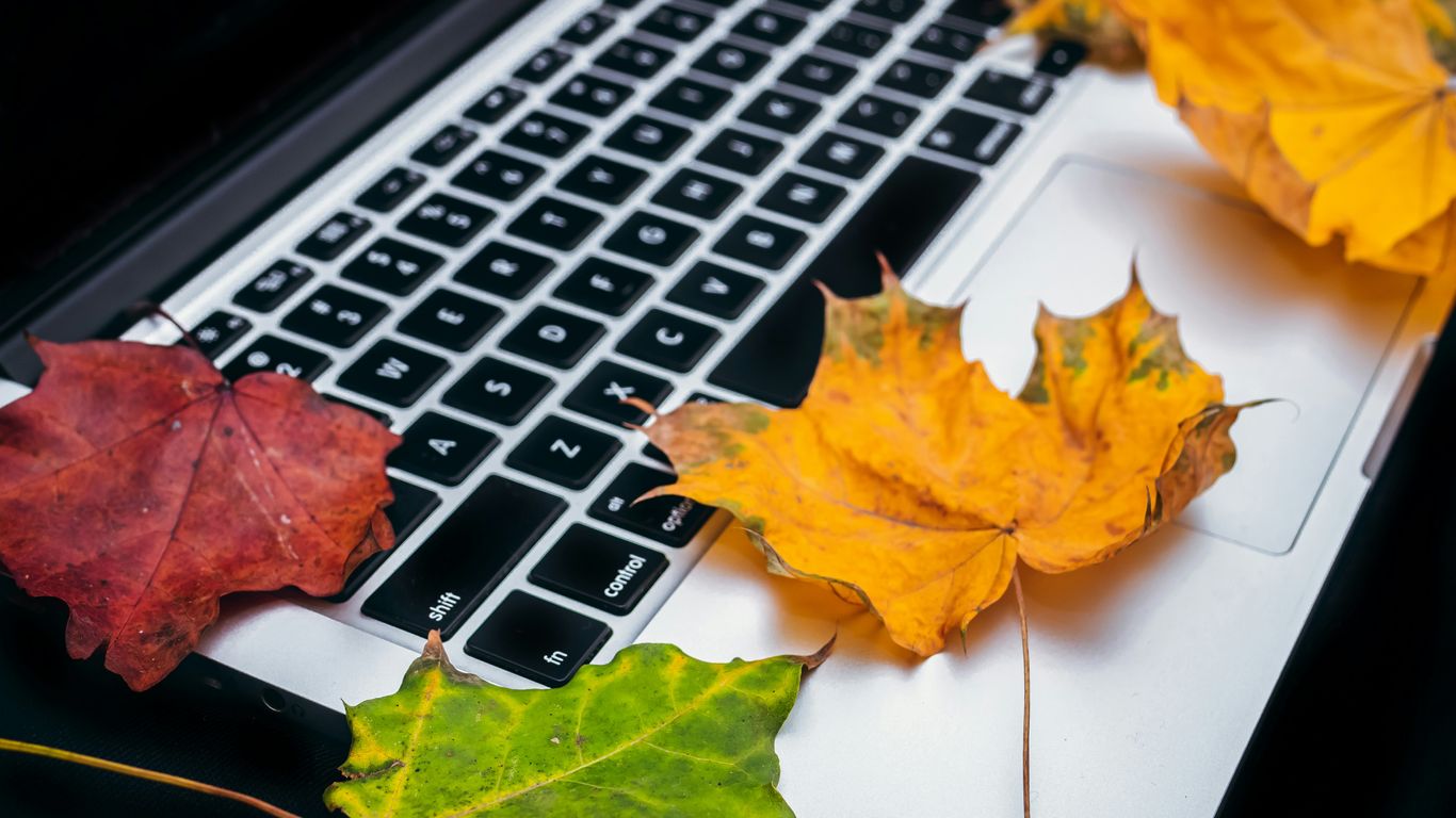 turned-off black and gray laptop computer with maple leaves