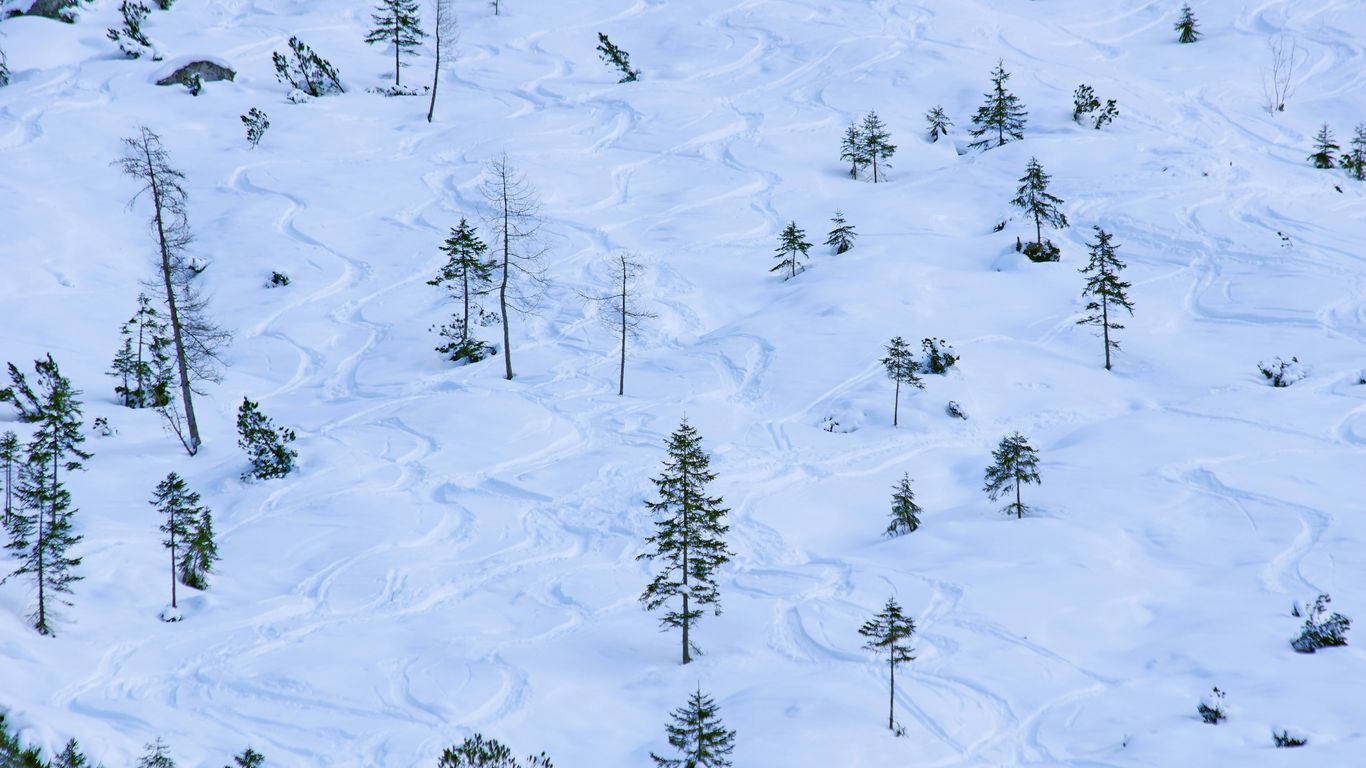 a snow covered hill with lots of trees