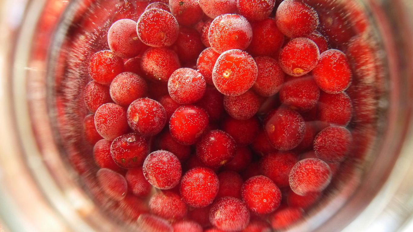 red round fruits in clear glass bowl