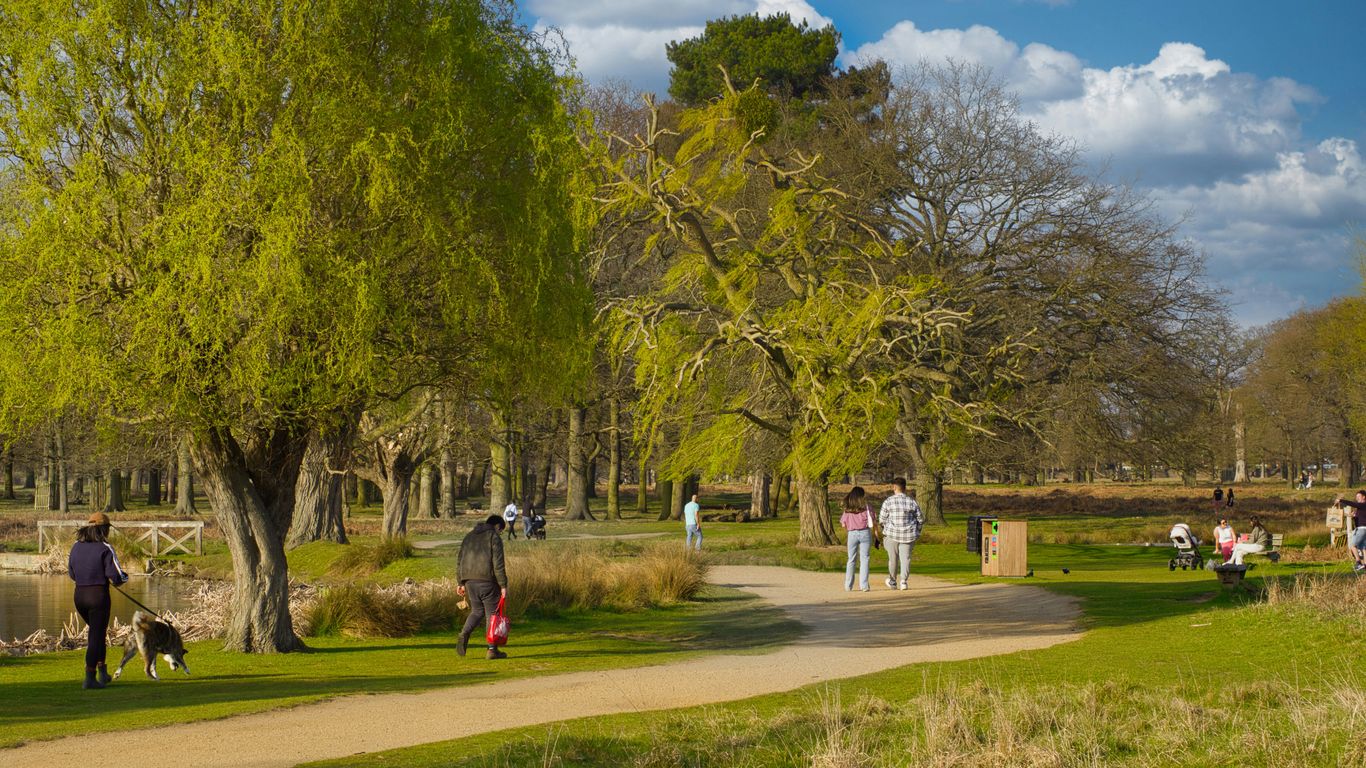 a group of people walking around a park
