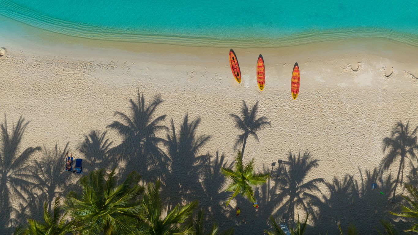 a beach with palm trees and three surfboards