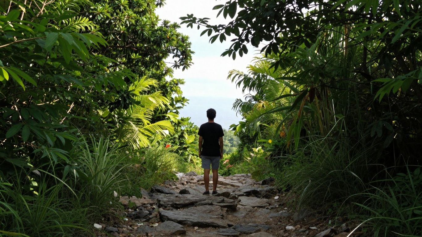 Person on path towards a bright horizon.
