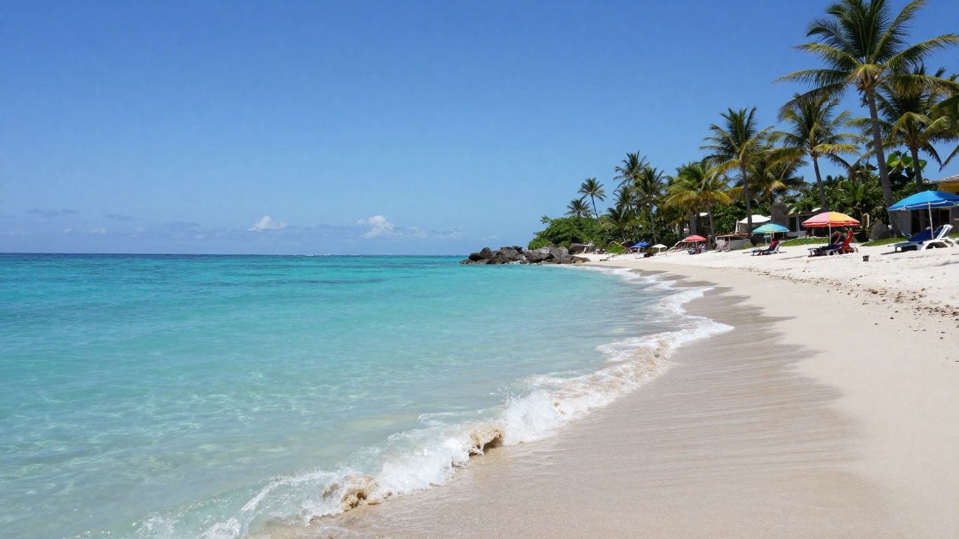 Sunny beach with clear water and palm trees.