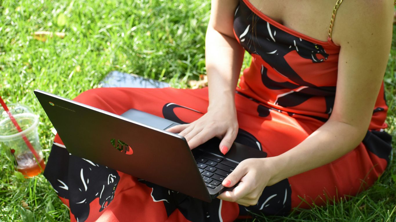 a person sitting on the grass using a laptop