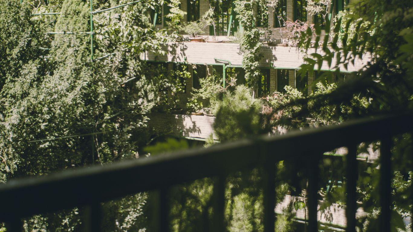 Green trees and a building seen through a railing.