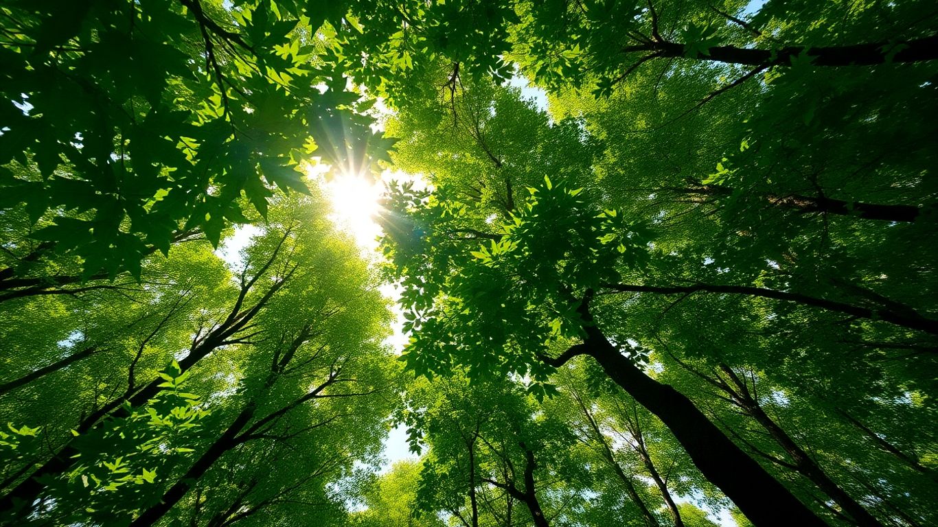 Pădure verde cu elemente digitale subtile.