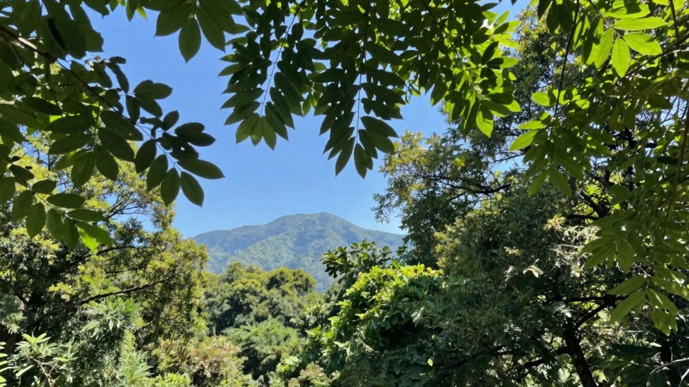 Pădure verde sub cerul albastru, munți în depărtare.