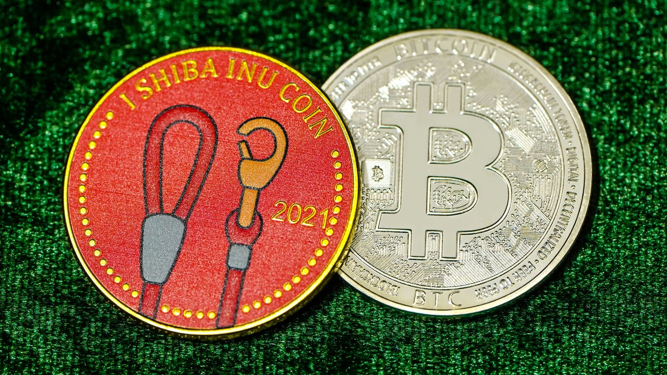 Two coins: one representing Shiba Inu, another Bitcoin.