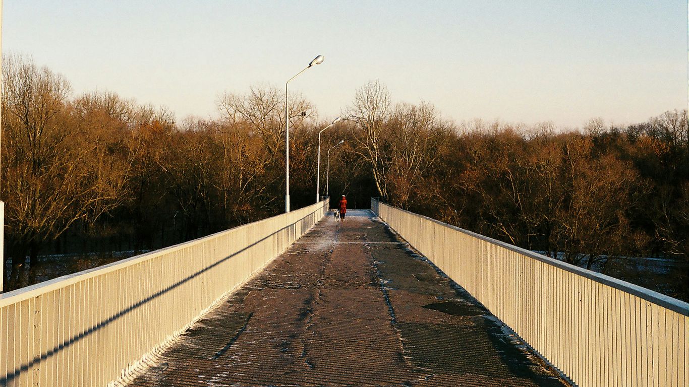 person in black jacket walking on brown wooden bridge during daytime