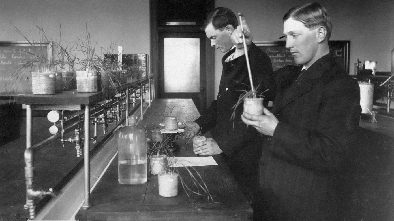 Bayer Crop Science laboratory research