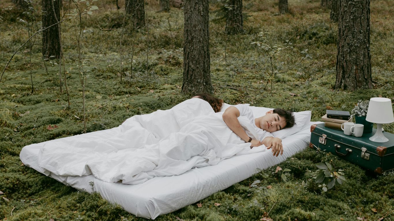 Two people sleeping on a bed in a forest setting.