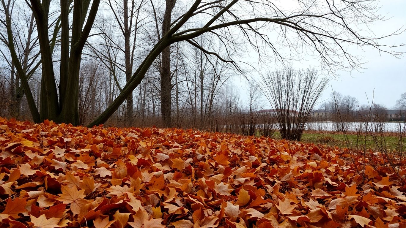 Garten im Übergang von Herbst zu Winter
