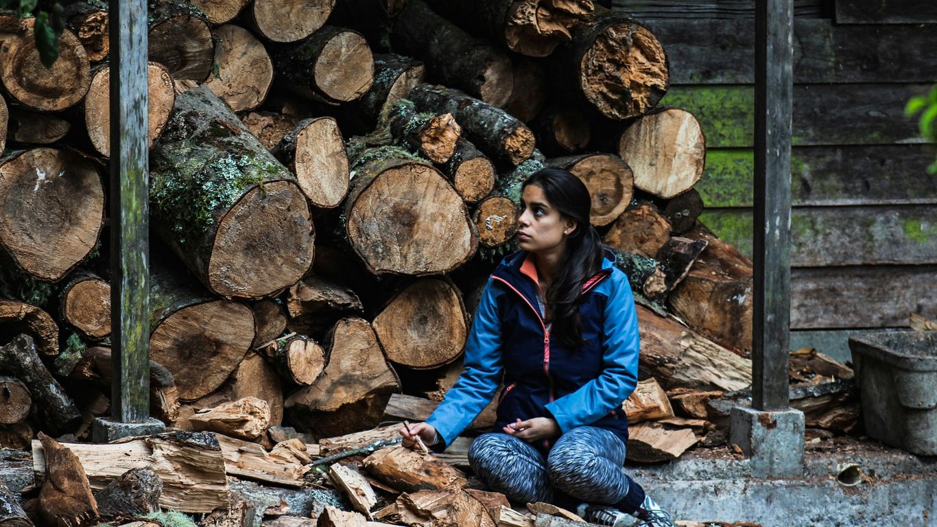 woman in blue jacket sitting on brown wood log