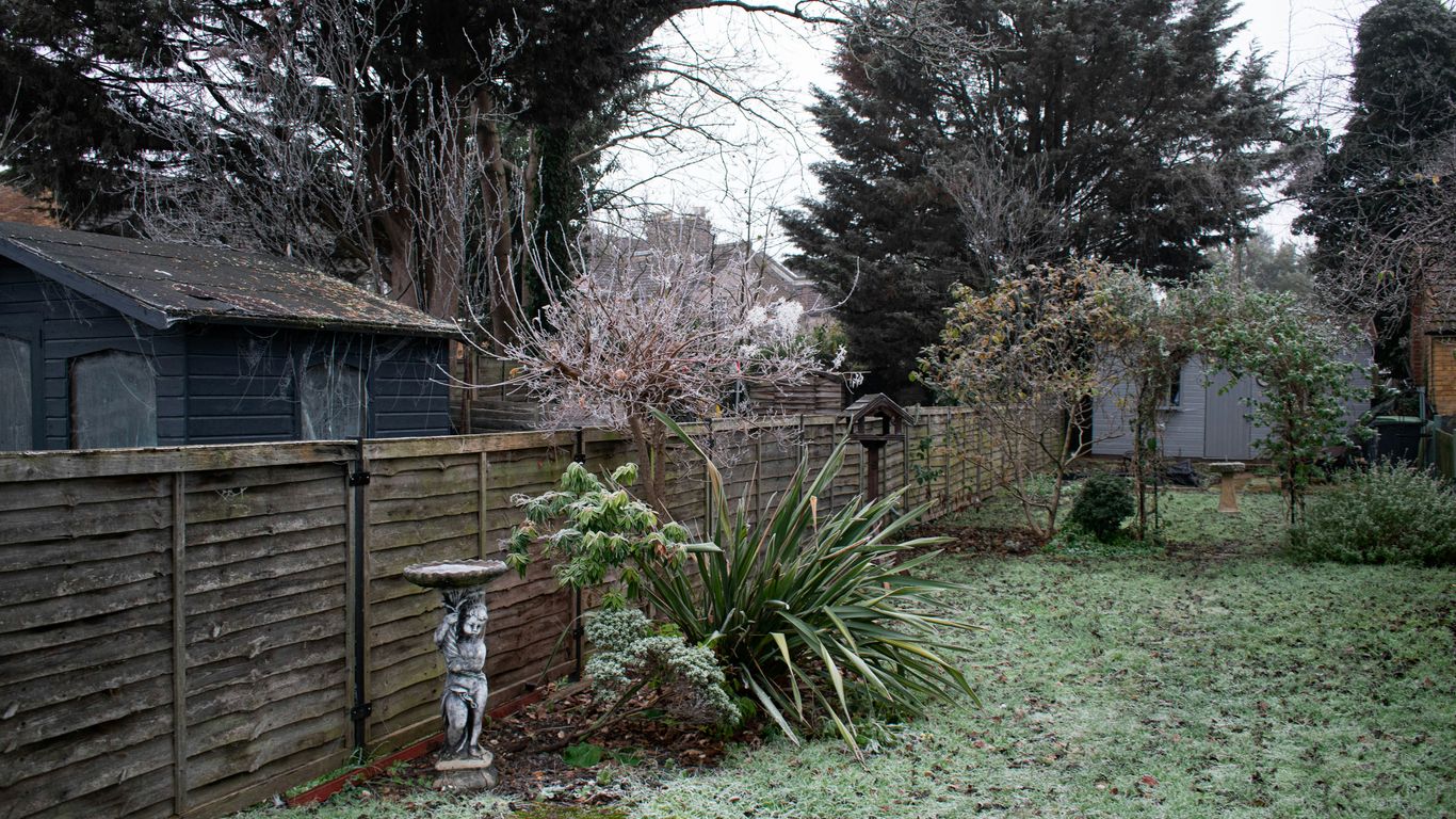 a yard with a fence and a bird bath