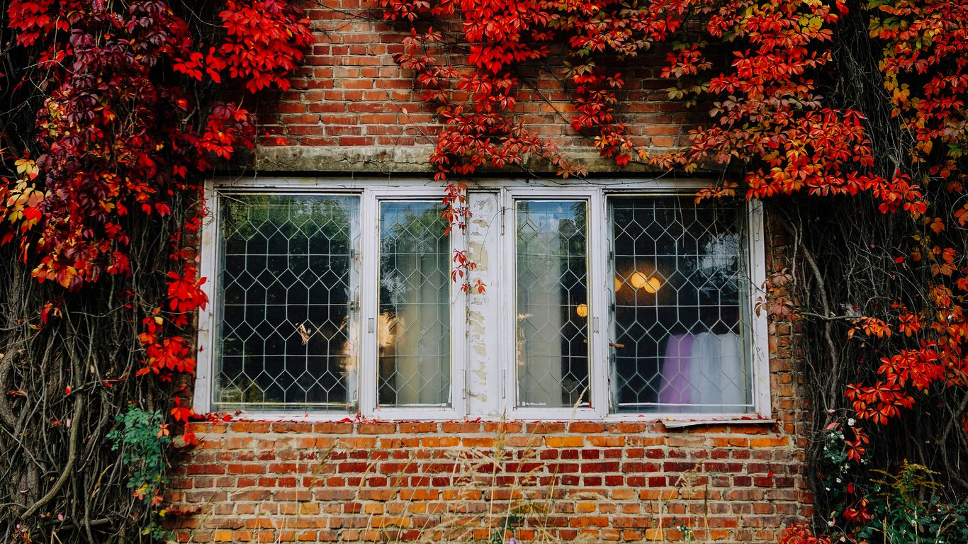 Brown and white home exterior with red vine flowers
