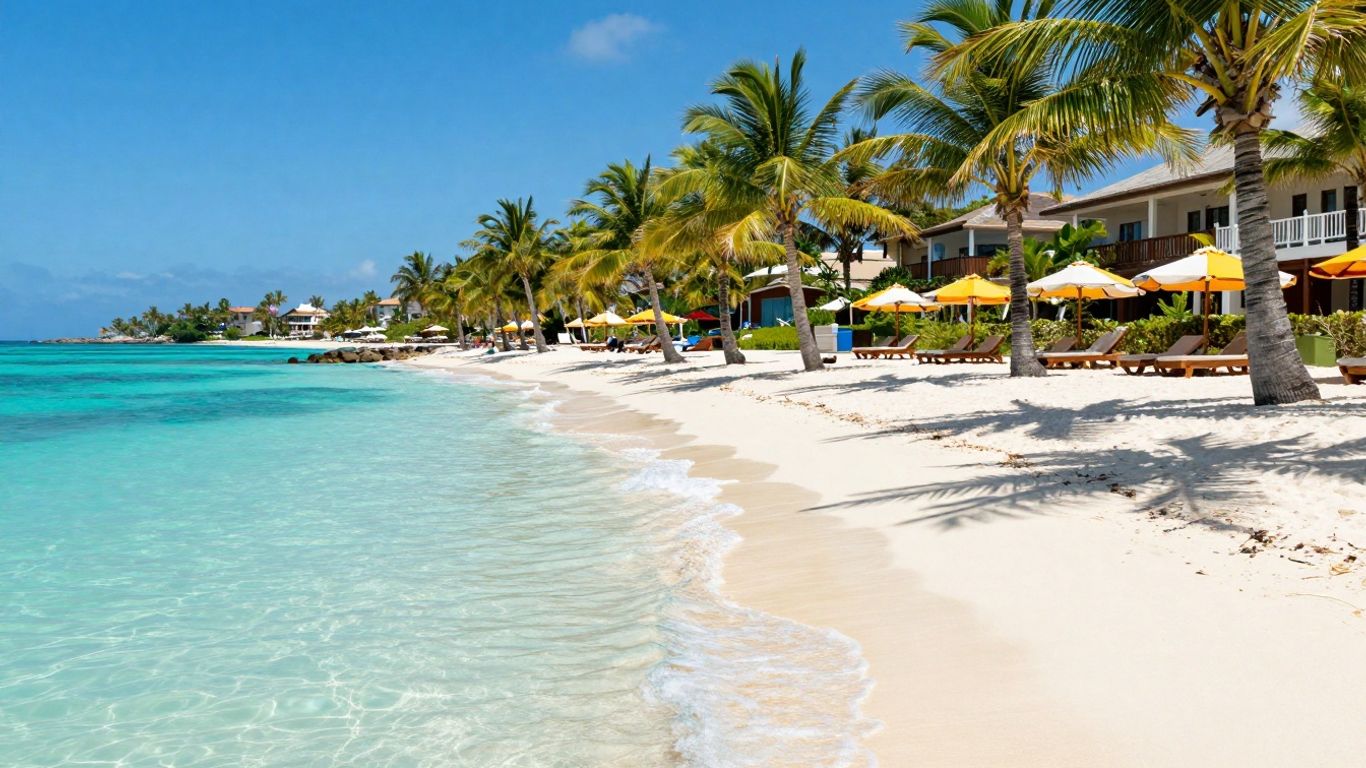 Tropical beach vacation with palm trees and clear water.