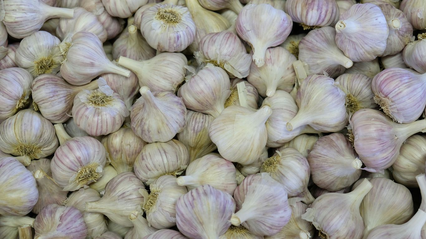 clove of garlic