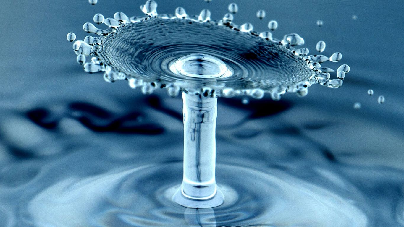 water drops macro photography