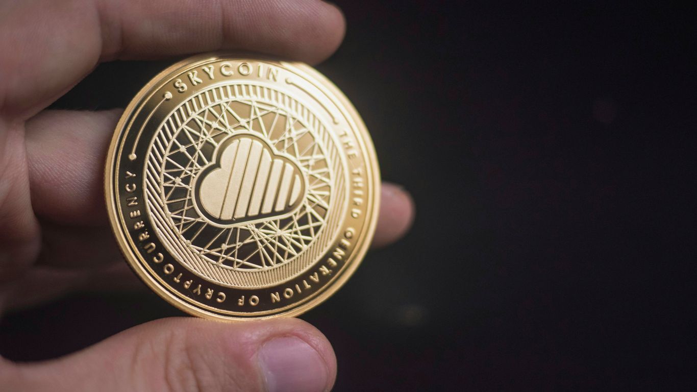 person holding gold-colored coin