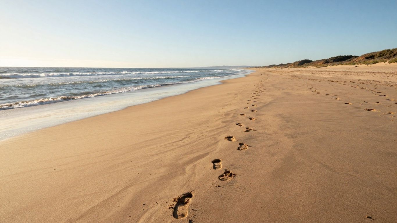 Strandwandeling tussen Noordwijk en Katwijk