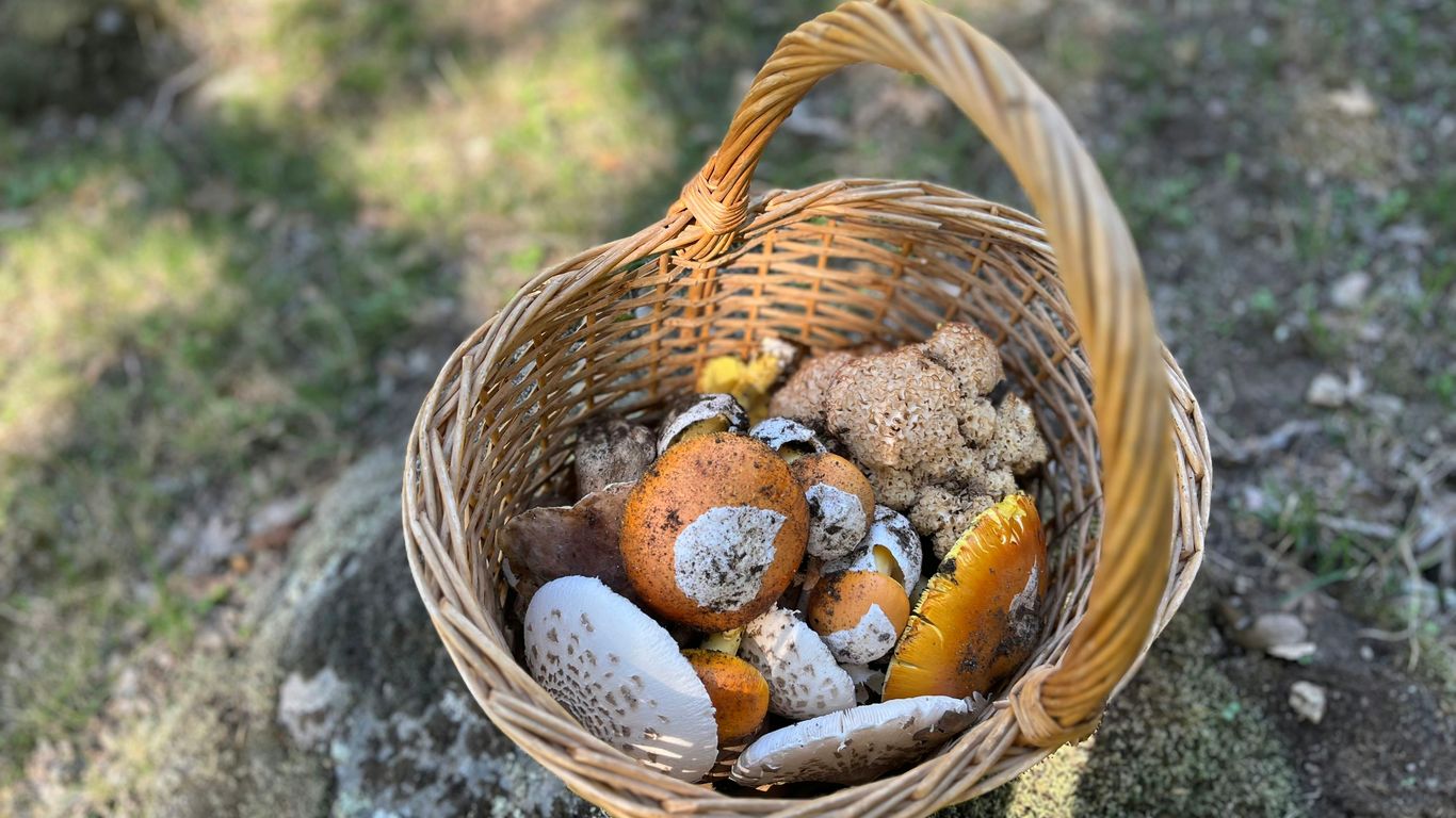 a basket filled with lots of different types of rocks