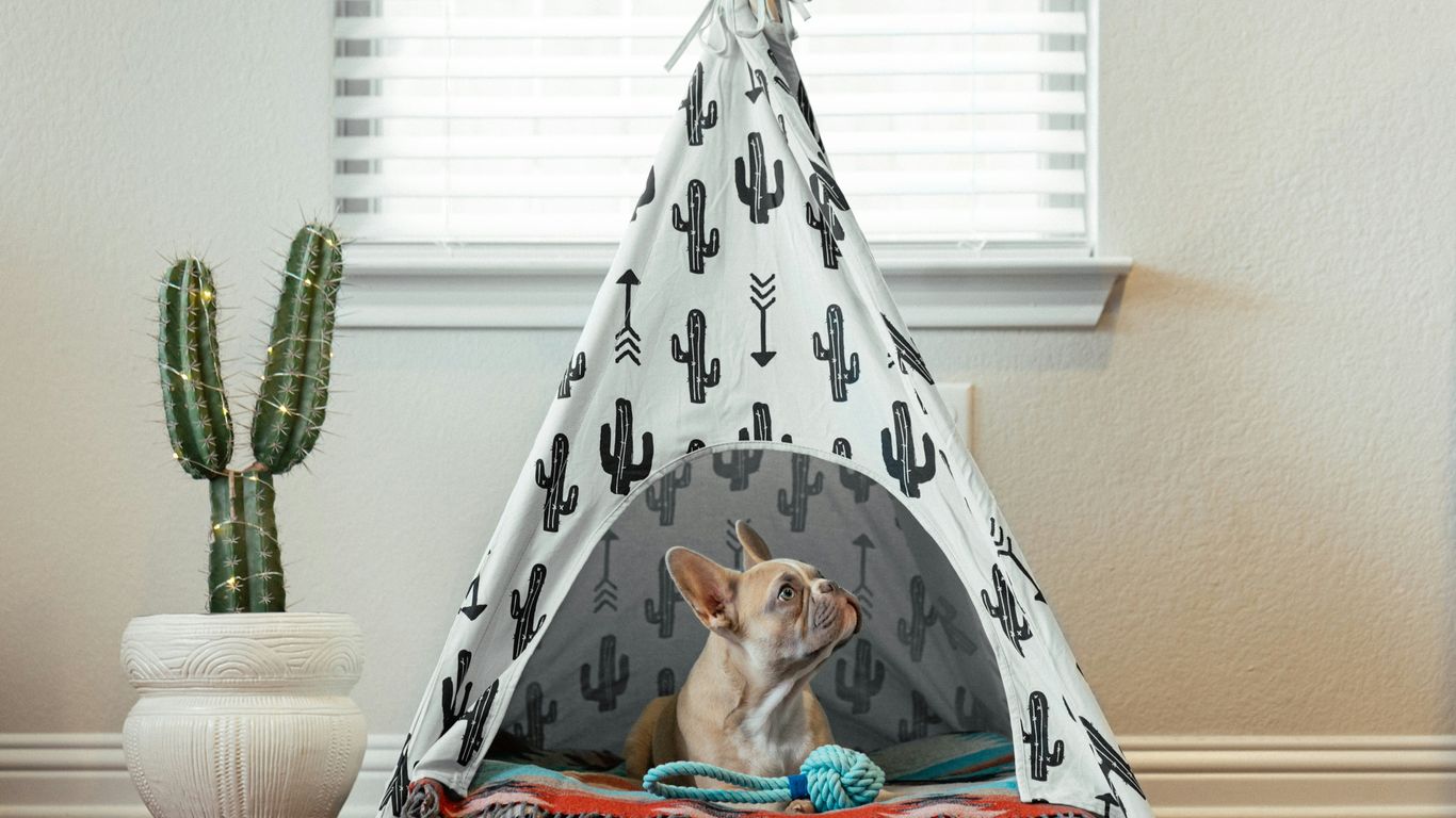 a dog sitting in a teepee with a cactus pattern